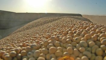Una reactivación exportadora apuntala los precios de la soja, pero los temores recesivos debilitan al trigo y al maíz