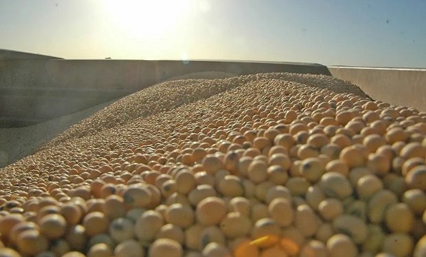 Una reactivación exportadora apuntala los precios de la soja, pero los temores recesivos debilitan al trigo y al maíz