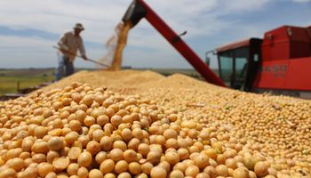 Sin operatoria en CBOT se mantuvieron los valores locales