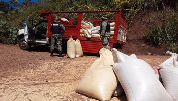 Secuestran soja que se iba a exportar de manera ilegal en Misiones