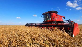 Las lluvias retrasan la cosecha de soja y el rendimiento supera los 31 quintales por hectárea