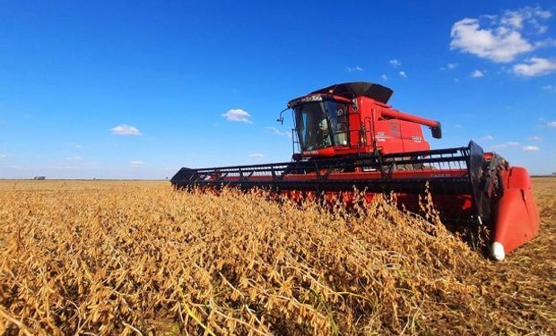 Las lluvias retrasan la cosecha de soja y el rendimiento supera los 31 quintales por hectárea