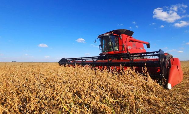 Campaña gruesa: se espera una reactivación de las lluvias después del invierno