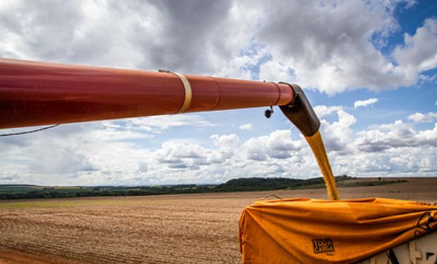 Agricultura da Argentina vive pior seca dos últimos 60 anos. (foto - Sistema CNA/Senar)