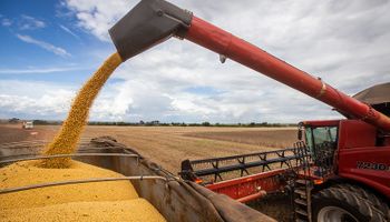 Valor da Produção Agropecuária é estimado em R$ 1,179 trilhão em 2023
