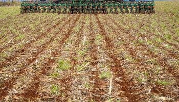 Goiás prorroga calendário de plantio de soja 
