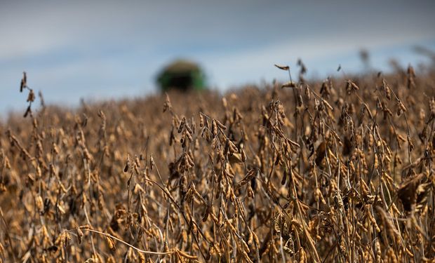 Aprosoja-MT aponta: 87% dos produtores não conseguem cobrir o custo da soja