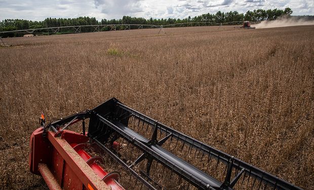 Soja em alta e milho em queda: USDA atualiza números da safra global
