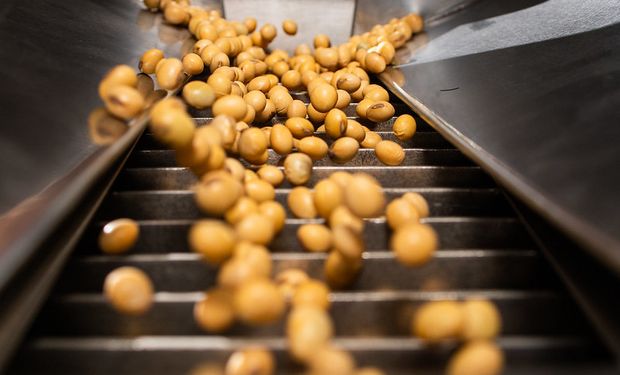 Bunge e CP Group ampliam parceria e rastreiam soja brasileira com blockchain
