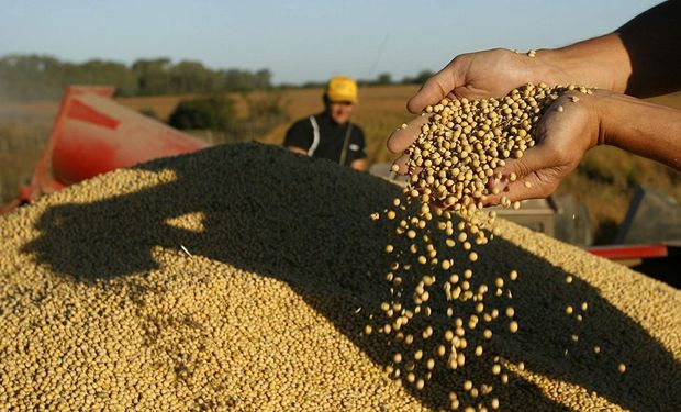 La soja rinde más: se necesitan 311 toneladas menos para comprar una cosechadora