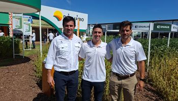 La N°1 en soja y ahora también en trigo: llevan más de 40 años mejorando cultivos y vuelven a elevar el rinde con una "revolución genética"