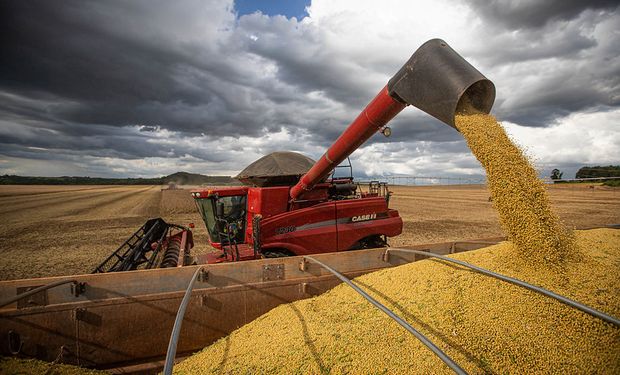 Acordo vai promover as exportações de grãos de Mato Grosso para a China. (Foto - Wenderson Araujo/Trilux)