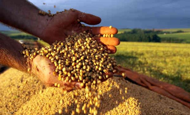 La industria semillera destaca: "Tenemos una gran historia para contar. La pregunta es si la estamos contando bien y a quién".