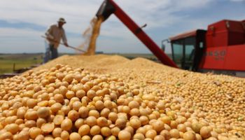 El Gobierno aspira a cuadriplicar los dólares que se liquidan en promedio durante octubre: qué mira el mercado