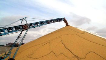 Los productores retienen el 35% de la soja a la espera de que se acelere la devaluación