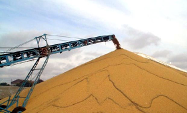 Los productores retienen el 35% de la soja a la espera de que se acelere la devaluación