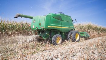 Expertos del agro mostrarán qué esperan de la ganadería y la agricultura en Argentina