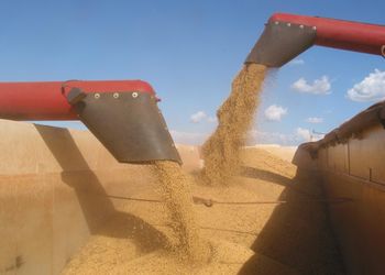 Conflito no Oriente Médio pode ampliar demanda global por soja do Brasil