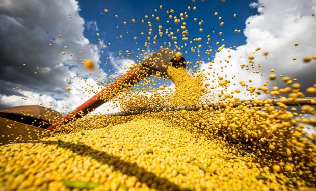 Queda da oferta global amplia liderança do Brasil na soja em 2026