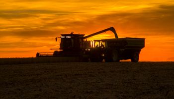 La suba del gasoil sumará $10.405 millones a los costos de los productores