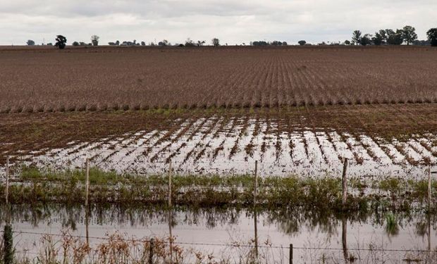 Las lluvias fueron excesivas y se reportaron pérdidas productivas