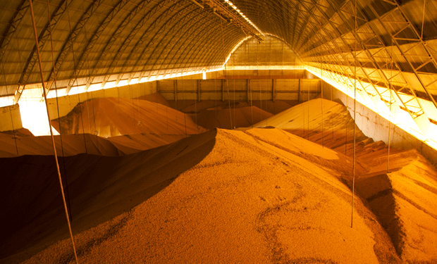 Estoque de produtos agrícolas totalizou 65,5 milhões de toneladas, com soja ocupando maior volume. (foto - acervo Agência IBGE)