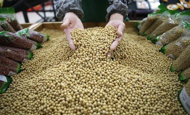 El temor a una recesión global impacta a la soja: cuánto se pagó en Rosario