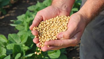 Com esperanças de acordo EUA-China e disparada do petróleo, Chicago fecha em alta na soja