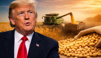 Fala de Trump sobre compras chinesas de soja dispara preços em Chicago