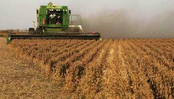 Soja, trigo y maíz: qué provincia tiene la mayor presión impositiva sobre el campo
