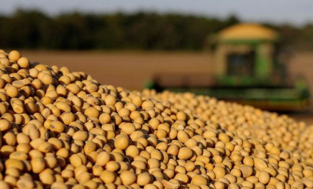 Clima seco en Brasil: la soja sube a un máximo de tres meses y se encamina a los US$ 500