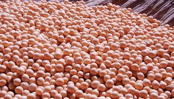 Petróleo dispara a US$ 90 com tensão no Oriente Médio e soja volta a US$ 12 em Chicago, maior nível desde 2024