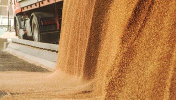 China retoma compras nos EUA e pressiona prêmios da soja brasileira