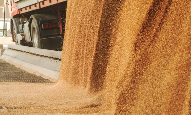 China retoma compras nos EUA e pressiona prêmios da soja brasileira