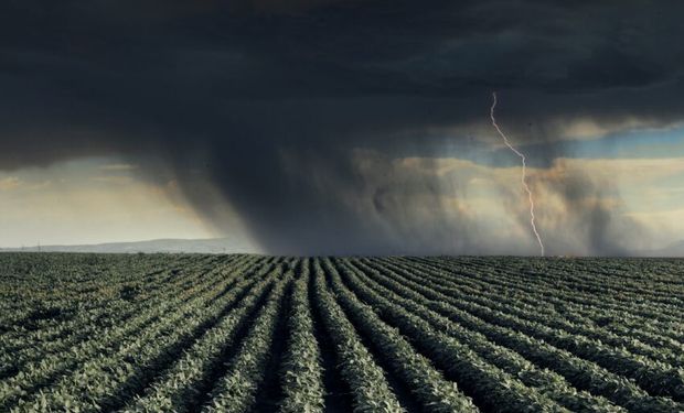 Previsão indica muita chuva nos próximos 10 dias: veja onde