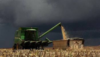 El Niño é esperança do agro gaúcho nas áreas de sequeiro para safra 23/24