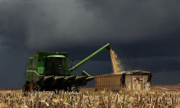 Chuvas registradas no Centro-Oeste e Sudeste trouxeram certo alívio a sojicultores, mas são fator baixista para o preço do grão. (foto - CNA)