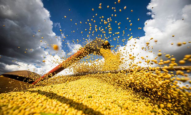 Soja e milho responderam por 88% da produção de grãos no País nesta temporada. (foto - CNA)