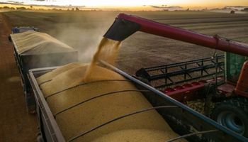Mesmo com cenário global incerto, safra recorde e agro ainda devem sustentar economia em 2025