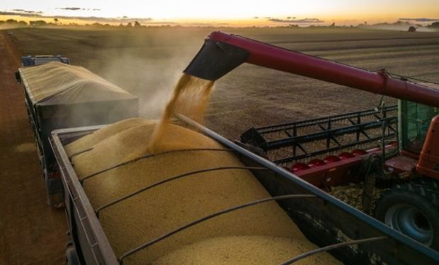 Mesmo com cenário global incerto, safra recorde e agro ainda devem sustentar economia em 2025