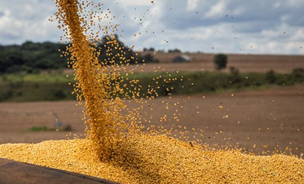 Soja em grão aparece como primeiro produto na pauta de exportações, com 25,09%. (foto - Sistema CNA/Senar)