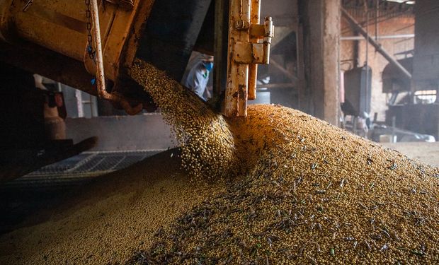 CNA aponta que o momento é muito desafiador para os produtores de soja e milho no Brasil. (Foto - Wenderson Araujo/CNA)