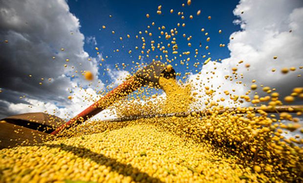 Soja é a commodity agrícola mais comercializada pelo Brasil, (foto - Getty Image)