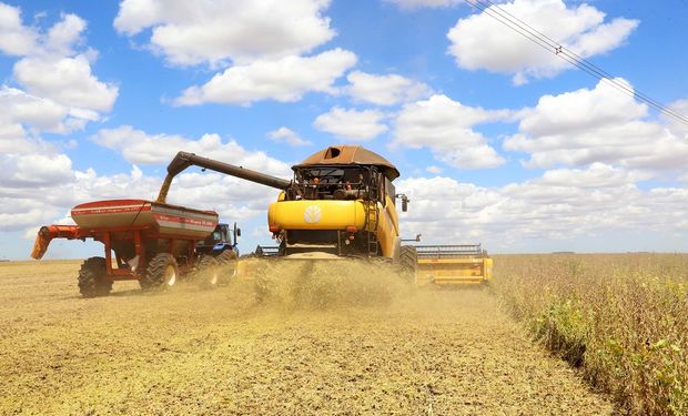 Avanço da colheita no Brasil pressiona cotação da soja