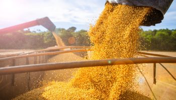 Puxado por recorde do agro, PIB do Brasil cresce 2,9% em 2023