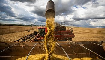 Apesar do clima, projeção da safra de grãos 2022/2023 supera em 14,5% ciclo anterior
