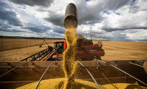 Produção de soja deve ser  22,2% superior à da safra 2021/22.. (foto - Sistema CNA/Senar)