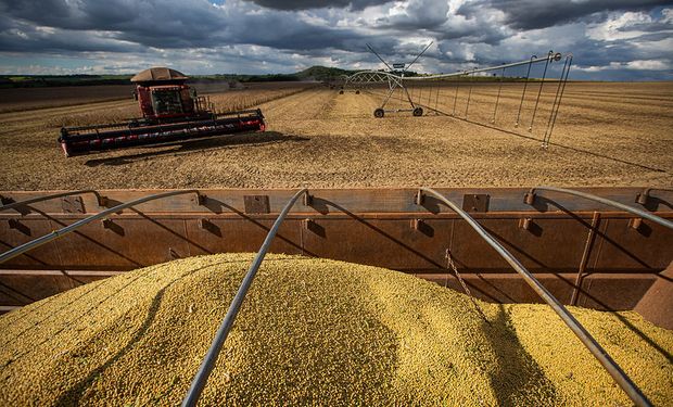 Soja deve apresentar uma produção de 155,3 milhões de toneladas. (Foto - Wenderson Araujo/CNA)