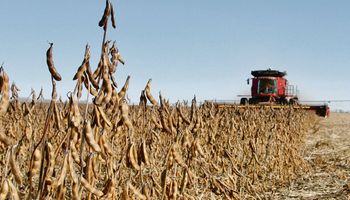 La venta de maquinaria agrícola cayó un 7,4 % en 2024 y dos marcas picaron en punta para liderar el mercado