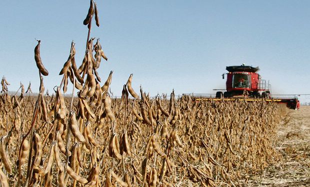 La venta de maquinaria agrícola cayó un 7,4 % en 2024 y dos marcas picaron en punta para liderar el mercado